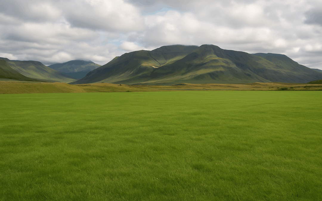 Af hverju skiptir máli hvaðan torfið kemur?