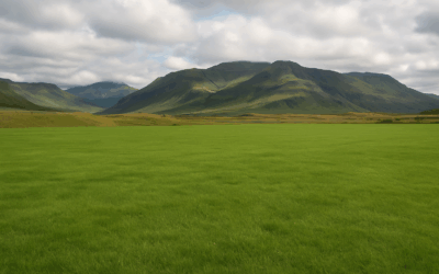 Af hverju skiptir máli hvaðan torfið kemur?