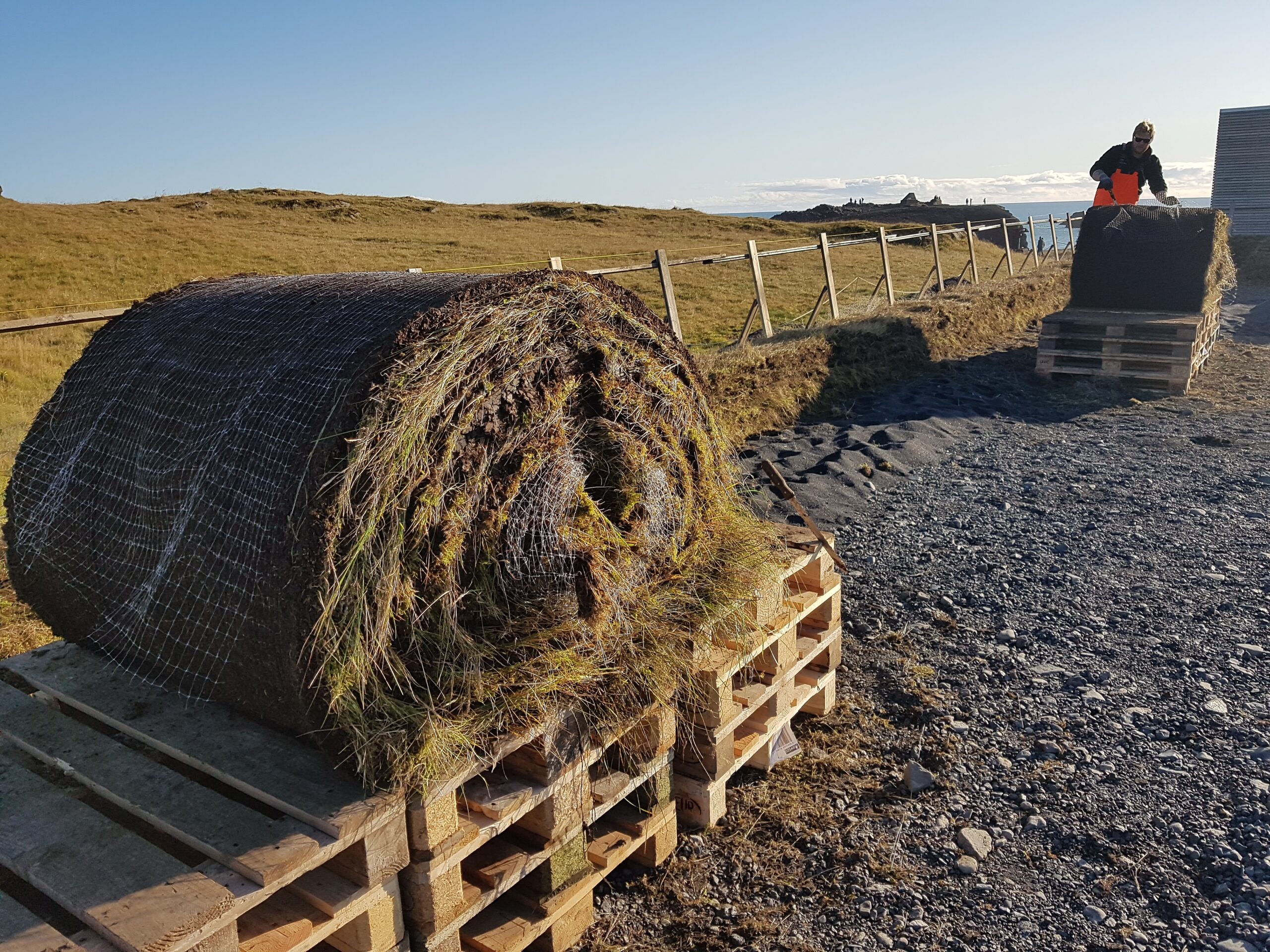 Dyrholaey20171016_142409