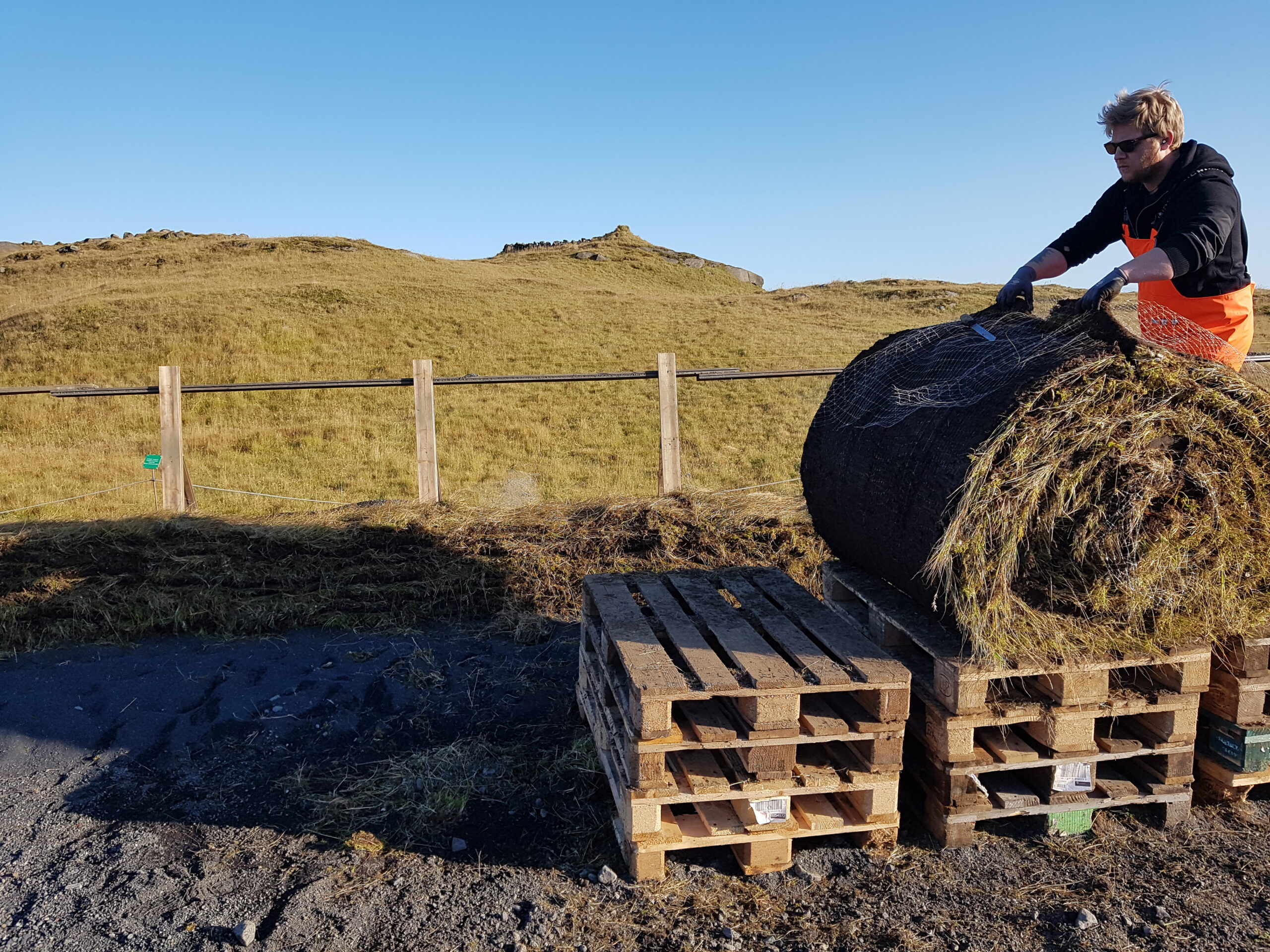 Dyrholaey20171016_142427