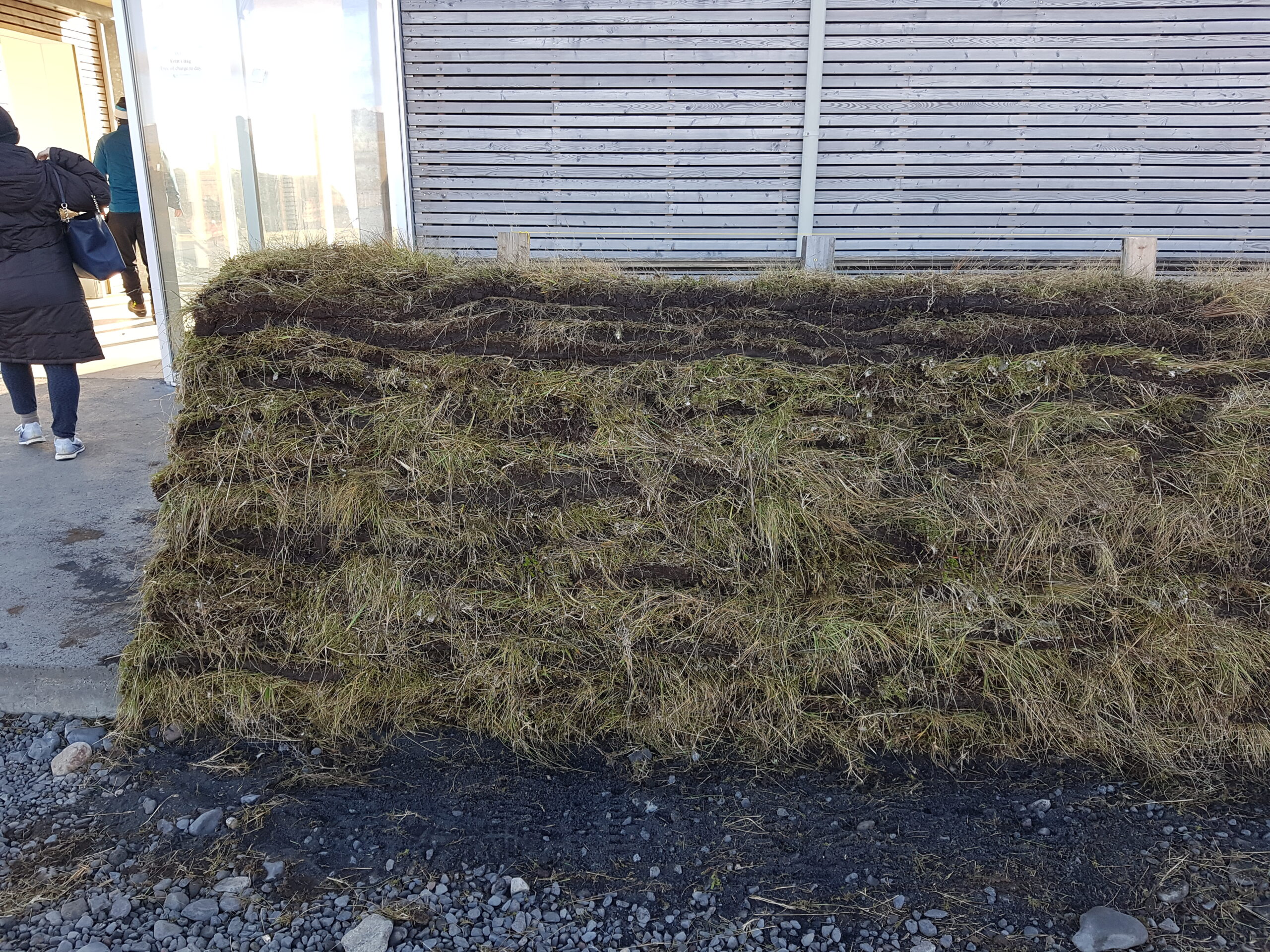 Dyrholaey20171016_142518