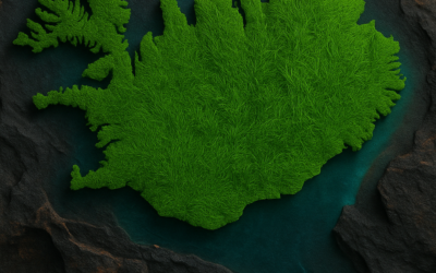 Hvaða tegund torfs hentar þér best?