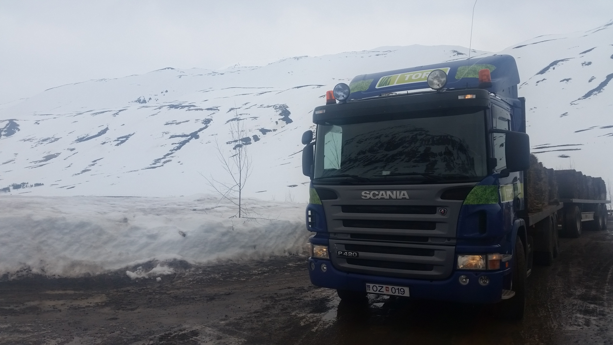 deplar20160409_132901