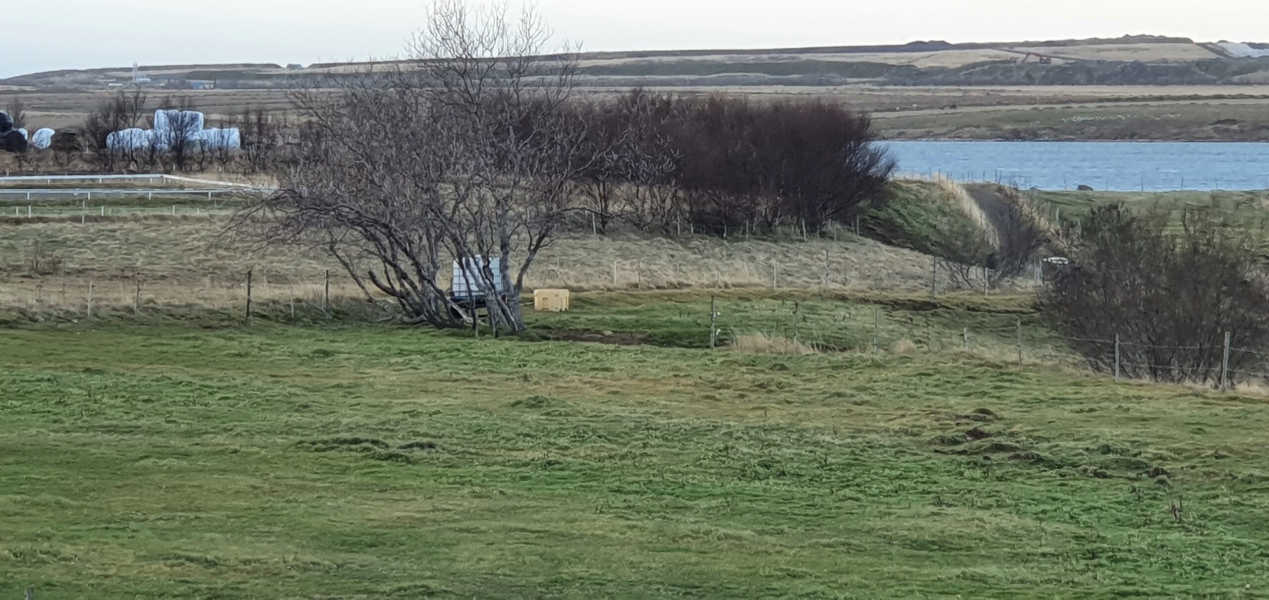 einbyli20201028_161126