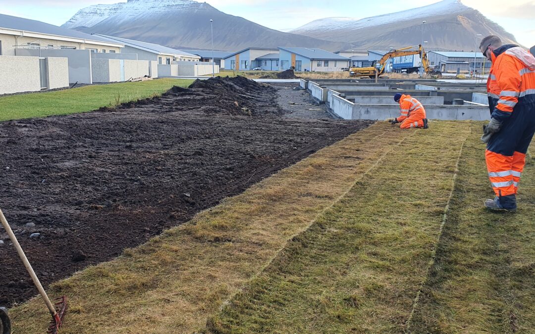 Gróðurlagið – undirstaða fallegs garðs