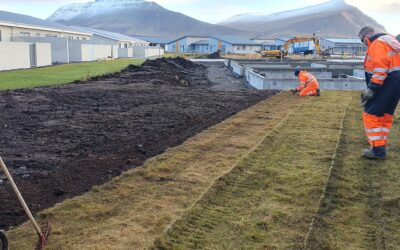 Gróðurlagið – undirstaða fallegs garðs