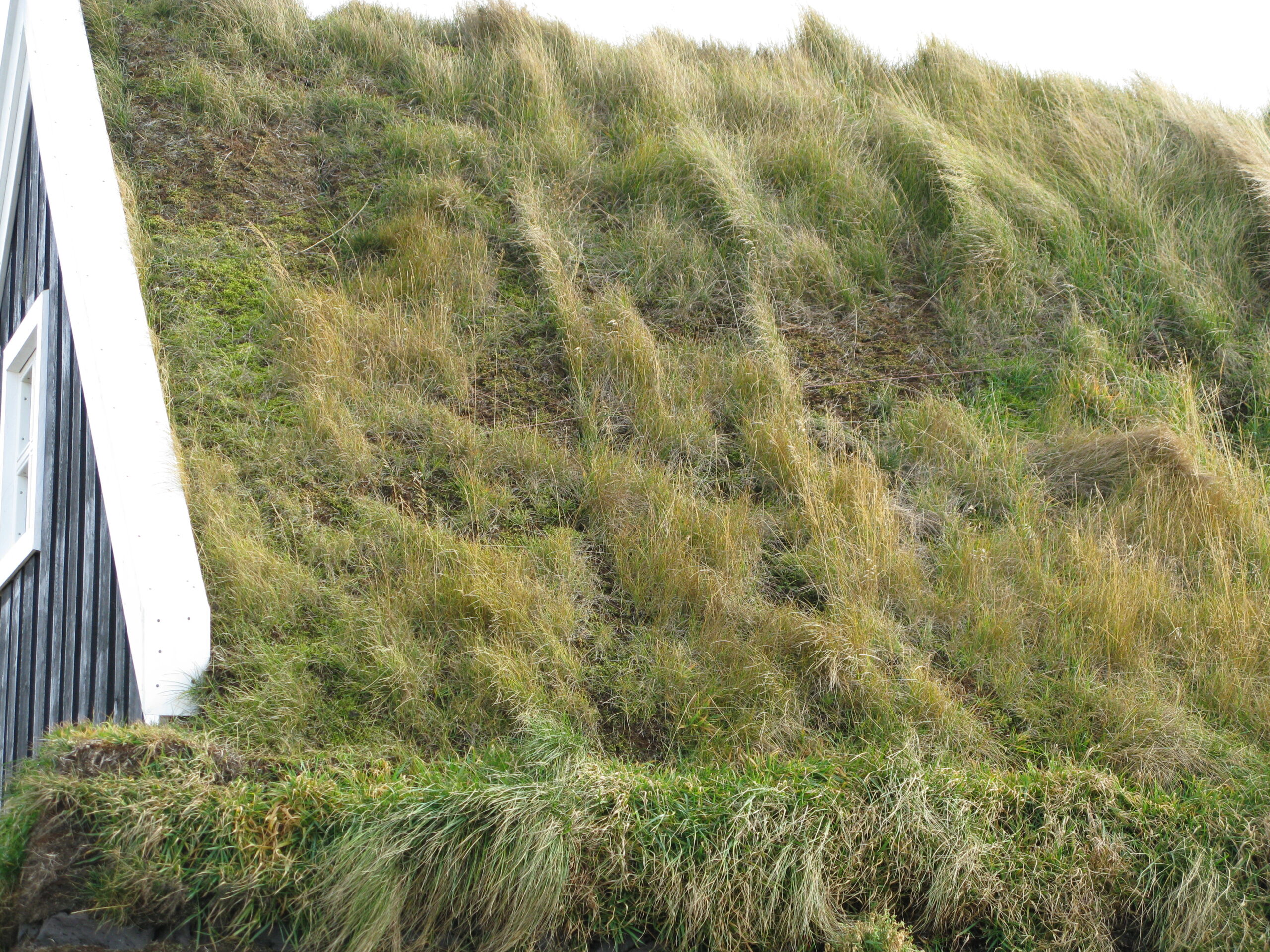 hlid-valholl-torfthakIIMG_1371