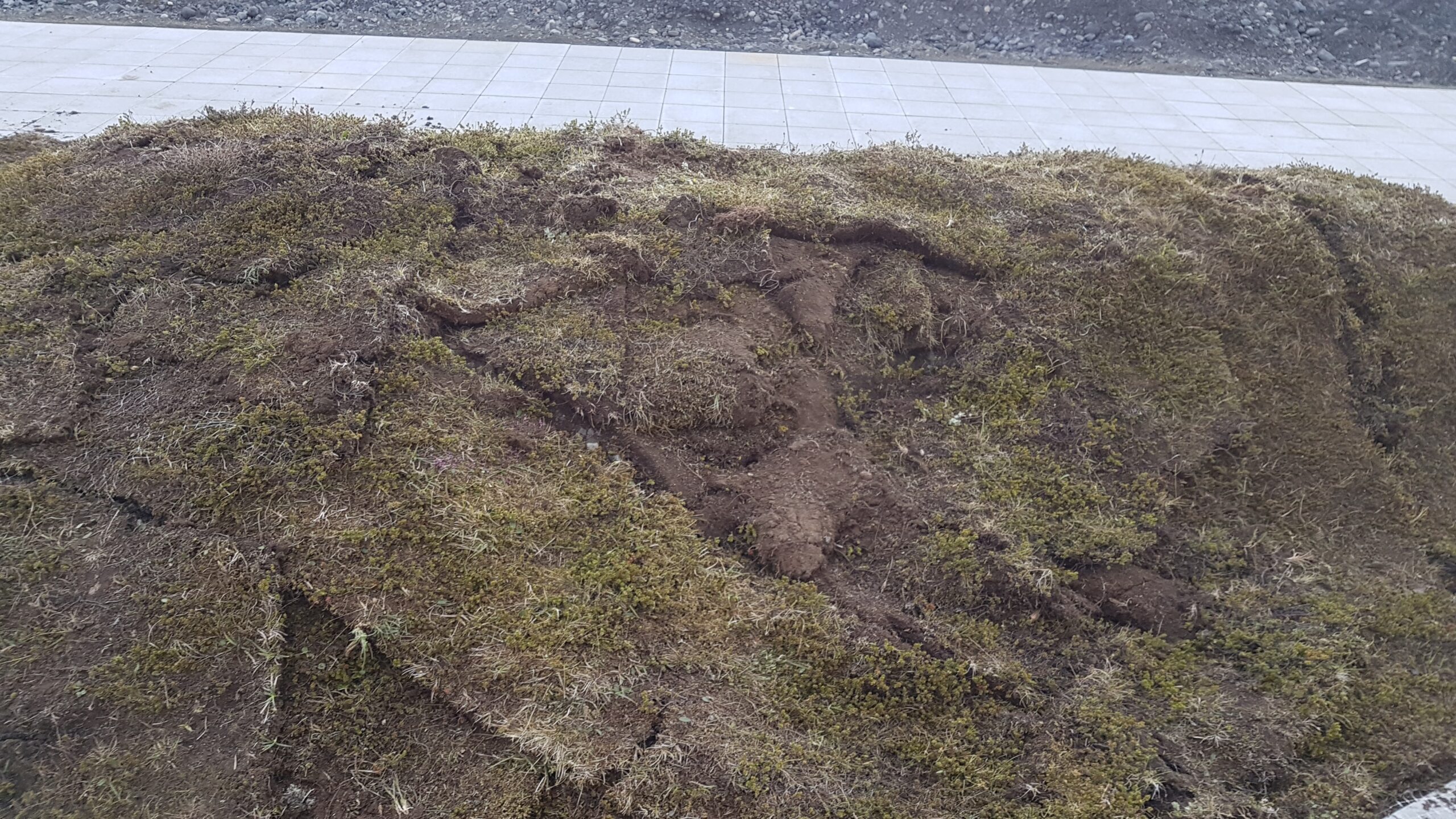 lavaCenter20170607_191753