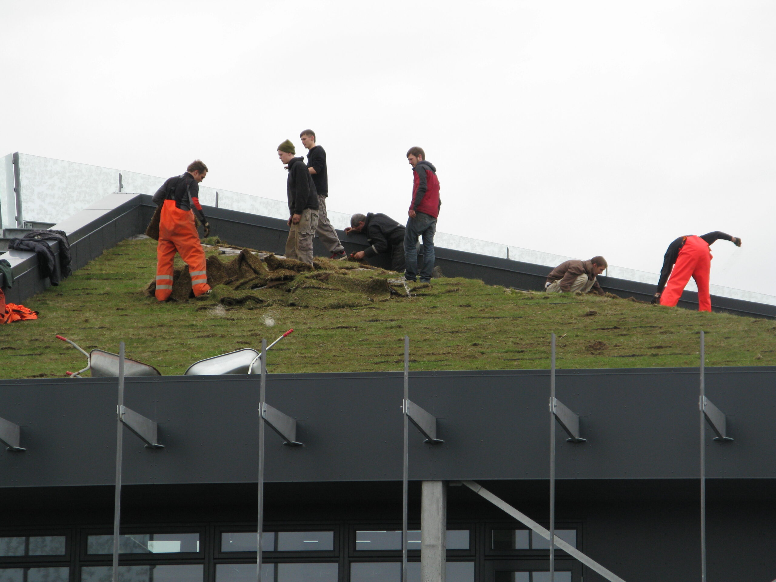 natturufraedistofnunIMG_4510